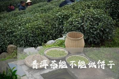 普洱茶能不能做饼子/2023112492868