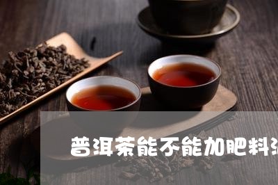 普洱茶能不能加肥料泡茶/2023110327271