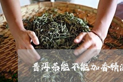 普洱茶能不能加香精泡/2023092713915