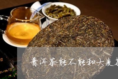 普洱茶能不能和大麦茶一起泡/2023052785929