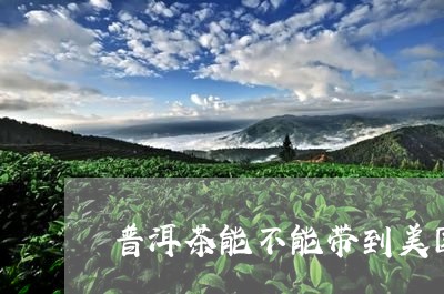 普洱茶能不能带到美国/2023072380504