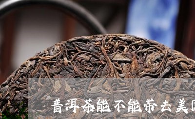 普洱茶能不能带去美国/2023092729479