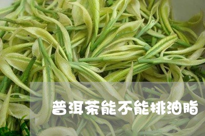 普洱茶能不能排油脂/2023091534057