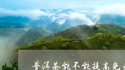 普洱茶能不能提高免疫/2023062268483