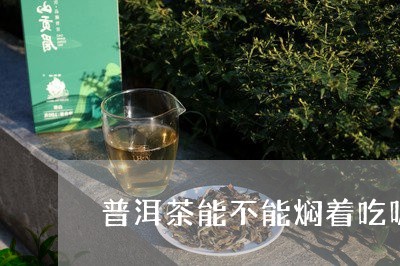 普洱茶能不能焖着吃呢/2023110334158