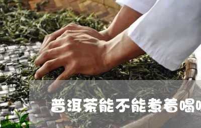 普洱茶能不能煮着喝呢/2023061936189