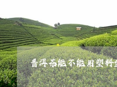 普洱茶能不能用塑料盒/2023092697281