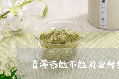 普洱茶能不能用密封袋/2023093095281