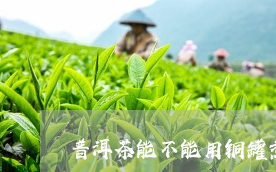 普洱茶能不能用铜罐煮/2023092631616