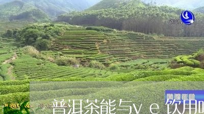 普洱茶能与ve饮用吗/2023080282704