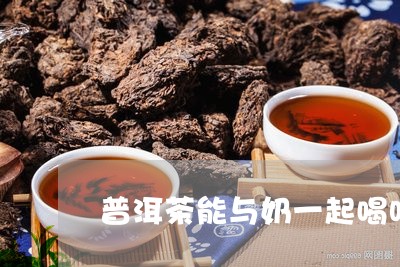 普洱茶能与奶一起喝吗/2023061527471