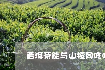 普洱茶能与山楂同吃吗/2023062758593