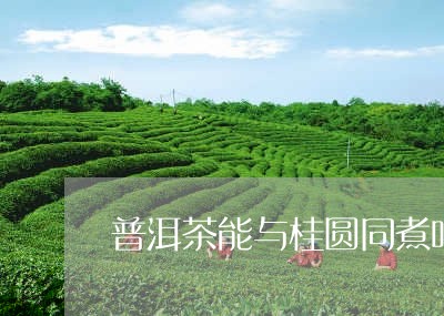 普洱茶能与桂圆同煮吗/2023092905047