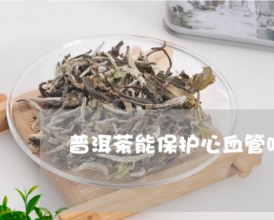 普洱茶能保护心血管吗/2023072349583