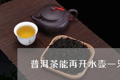 普洱茶能再开水壶一只煮吗/2023051183148