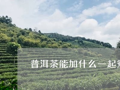 普洱茶能加什么一起煮/2023061553038