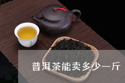 普洱茶能卖多少一斤/2023083086348