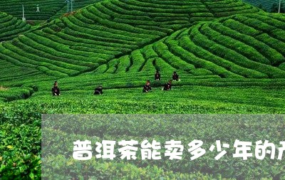 普洱茶能卖多少年的产品/2023082748472