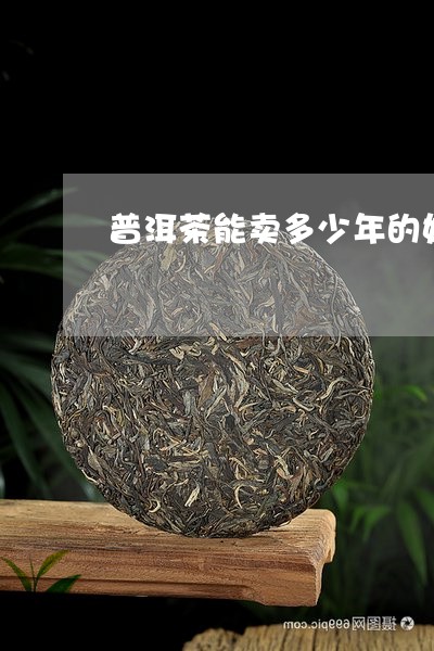 普洱茶能卖多少年的好品/2023083029271