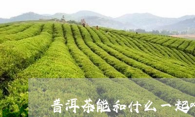 普洱茶能和什么一起吃/2023092629694