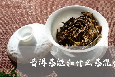 普洱茶能和什么茶混合/2023100805060