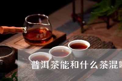 普洱茶能和什么茶混喝/2023112717151