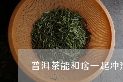 普洱茶能和啥一起冲泡/2023072282081