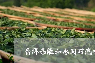 普洱茶能和枣同时泡吗/2023093071492