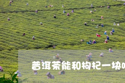 普洱茶能和枸杞一块喝/2023092642616