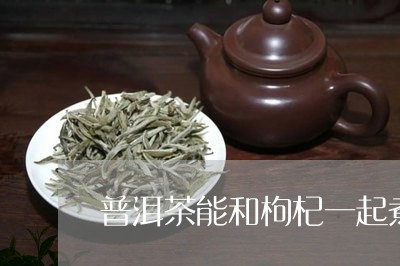 普洱茶能和枸杞一起煮/2023092620584