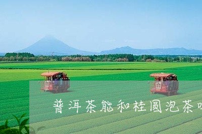 普洱茶能和桂圆泡茶吗/2023062338382