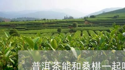 普洱茶能和桑椹一起喝吗/2023112833736