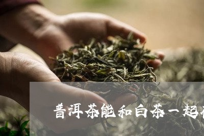 普洱茶能和白茶一起存放吗/2023111734937