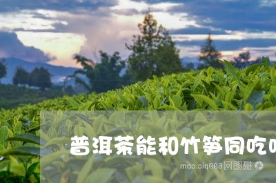 普洱茶能和竹笋同吃吗/2023062356259