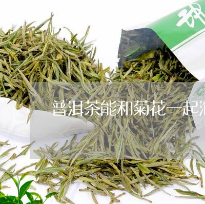 普洱茶能和菊花一起泡/2023092684037