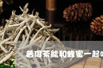 普洱茶能和蜂蜜一起吗/2023072215051