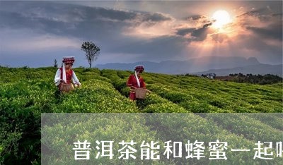 普洱茶能和蜂蜜一起喝/2023092641725