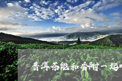 普洱茶能和香附一起喝/2023092728403