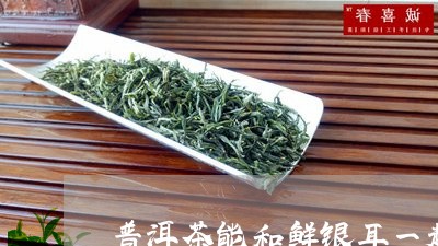 普洱茶能和鲜银耳一起吃吗/2023051177059