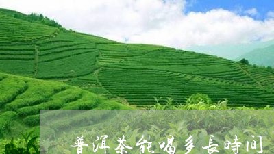 普洱茶能喝多长时间/2023070903037