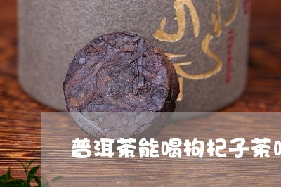 普洱茶能喝枸杞子茶吗/2023062203929