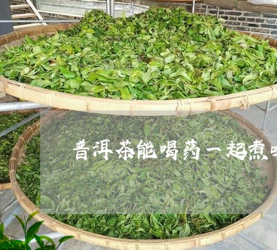 普洱茶能喝药一起煮吗/2023092647371