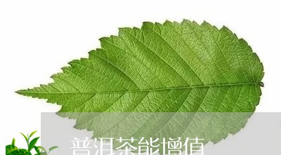 普洱茶能增值/2023042850790