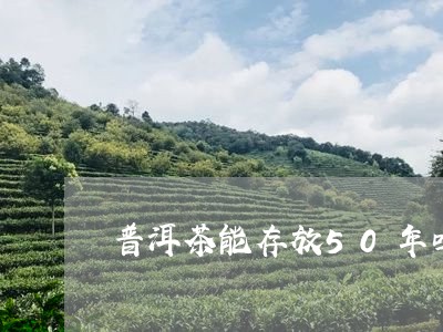 普洱茶能存放50年吗/2023062341615