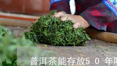 普洱茶能存放50年吗/2023073018282