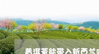 普洱茶能带入新西兰吗/2023080178373