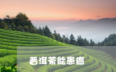 普洱茶能患癌/2023042558051