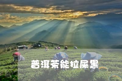 普洱茶能拉屎黑/2023110390694