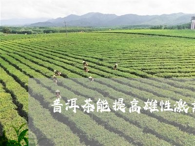 普洱茶能提高雄性激素/2023061522413