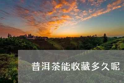 普洱茶能收藏多久呢/2023120580705